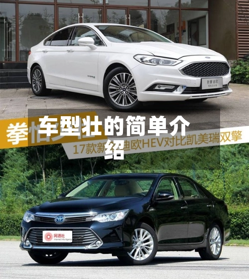 车型壮的简单介绍-第1张图片