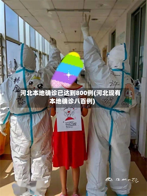河北本地确诊已达到800例(河北现有本地确诊八百例)-第1张图片