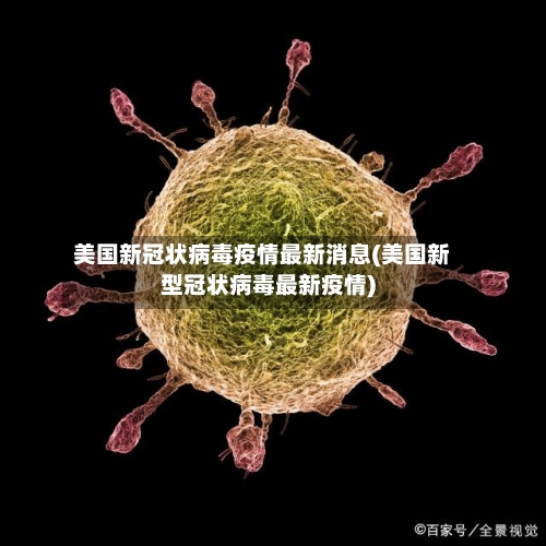美国新冠状病毒疫情最新消息(美国新型冠状病毒最新疫情)-第1张图片
