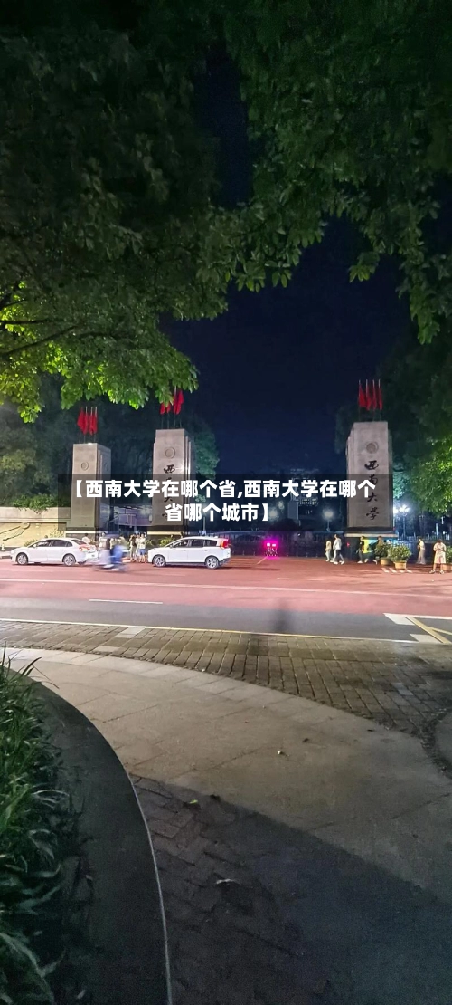 【西南大学在哪个省,西南大学在哪个省哪个城市】-第1张图片