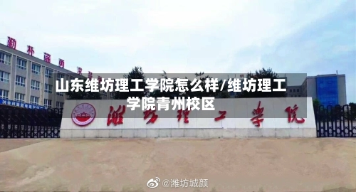 山东维坊理工学院怎么样/维坊理工学院青州校区-第1张图片