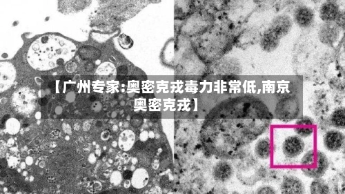 【广州专家:奥密克戎毒力非常低,南京奥密克戎】-第1张图片