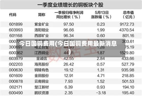 今日国铜费用(今日国铜费用最新消息)-第2张图片