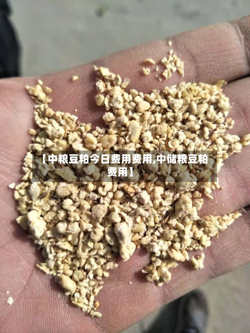 【中粮豆粕今日费用费用,中储粮豆粕费用】