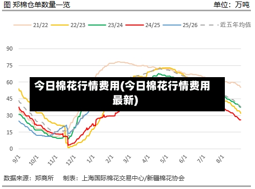 今日棉花行情费用(今日棉花行情费用最新)-第1张图片