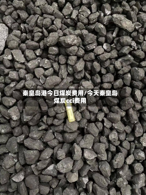 秦皇岛港今日煤炭费用/今天秦皇岛煤炭cci费用-第1张图片