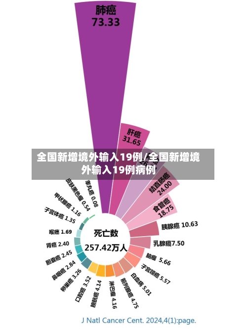 全国新增境外输入19例/全国新增境外输入19例病例