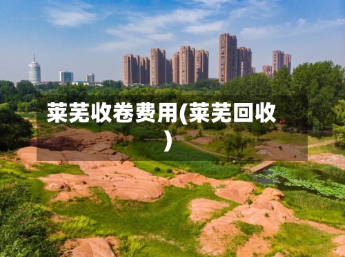 莱芜收卷费用(莱芜回收)-第1张图片