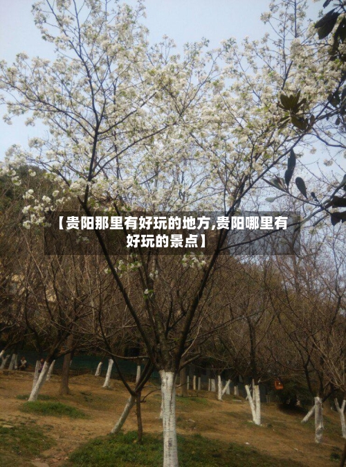 【贵阳那里有好玩的地方,贵阳哪里有好玩的景点】-第1张图片