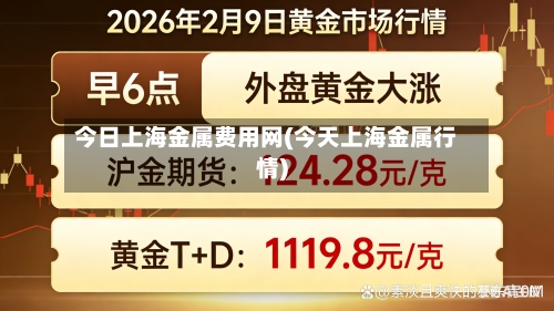 今日上海金属费用网(今天上海金属行情)-第1张图片
