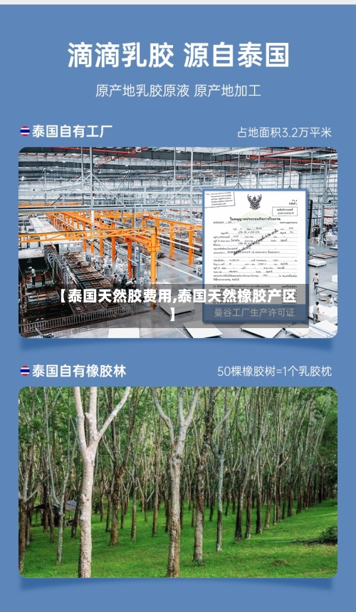 【泰国天然胶费用,泰国天然橡胶产区】-第1张图片