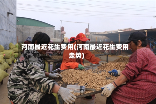 河南最近花生费用(河南最近花生费用走势)-第1张图片
