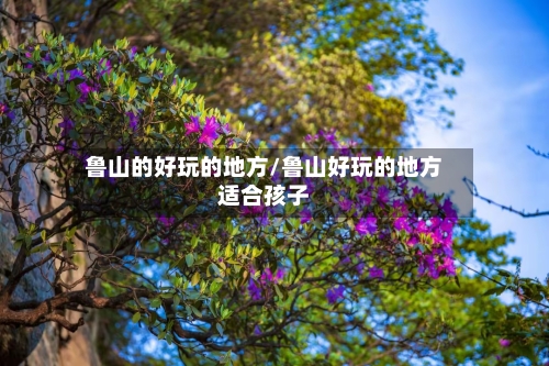 鲁山的好玩的地方/鲁山好玩的地方适合孩子-第1张图片