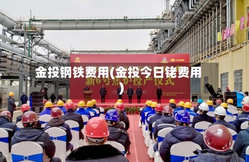 金投钢铁费用(金投今日铑费用)-第2张图片