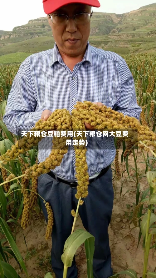天下粮仓豆粕费用(天下粮仓网大豆费用走势)-第1张图片