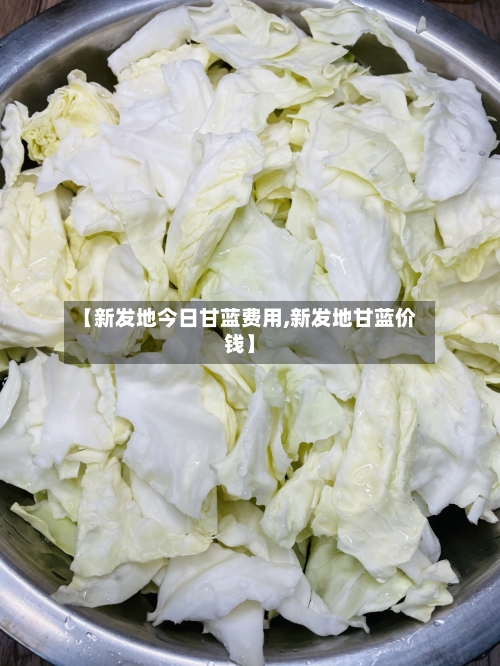 【新发地今日甘蓝费用,新发地甘蓝价钱】