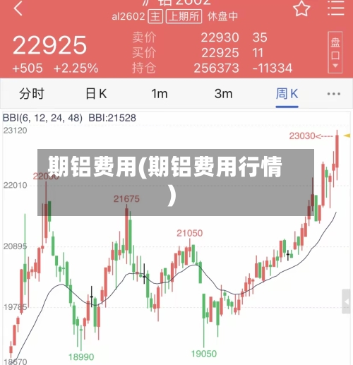 期铝费用(期铝费用行情)-第2张图片