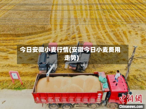 今日安徽小麦行情(安徽今日小麦费用走势)-第3张图片