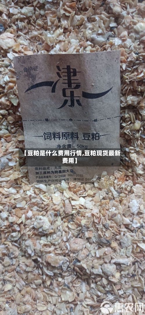 【豆粕是什么费用行情,豆粕现货最新费用】-第1张图片