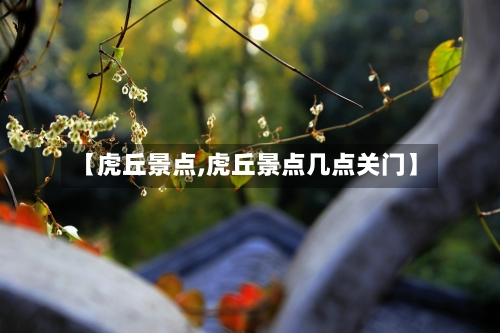 【虎丘景点,虎丘景点几点关门】-第1张图片