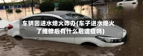 车辆因进水熄火咋办(车子进水熄火了维修后有什么后遗症吗)-第1张图片