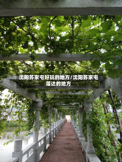 沈阳苏家屯好玩的地方/沈阳苏家屯溜达的地方-第3张图片