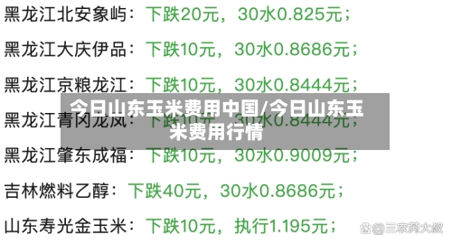 今日山东玉米费用中国/今日山东玉米费用行情-第1张图片