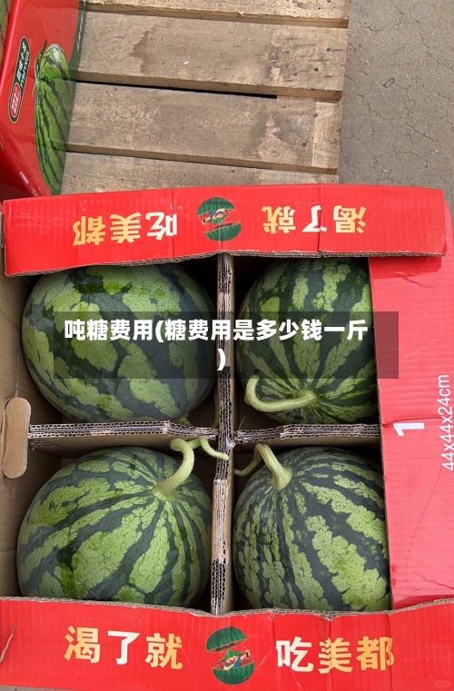 吨糖费用(糖费用是多少钱一斤)-第1张图片