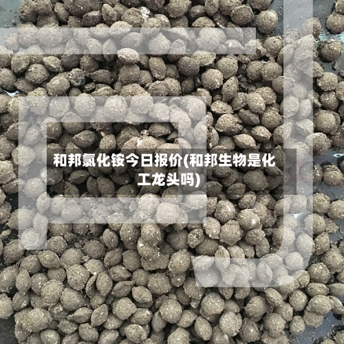 和邦氯化铵今日报价(和邦生物是化工龙头吗)-第1张图片
