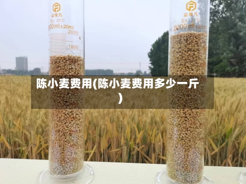 陈小麦费用(陈小麦费用多少一斤)