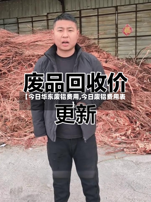 【今日华东废铝费用,今日废铝费用表】-第1张图片