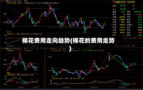 棉花费用走向趋势(棉花的费用走势)-第1张图片