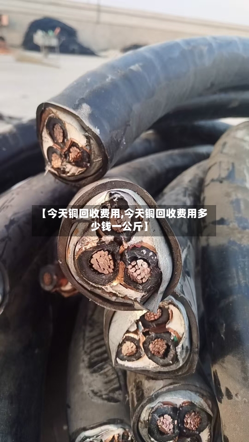 【今天铜回收费用,今天铜回收费用多少钱一公斤】-第3张图片