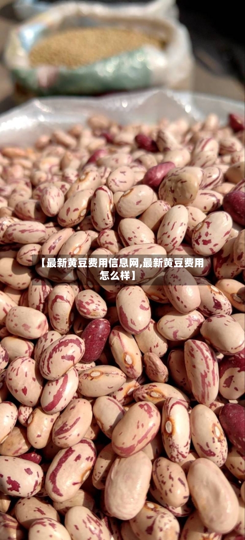 【最新黄豆费用信息网,最新黄豆费用怎么样】-第1张图片