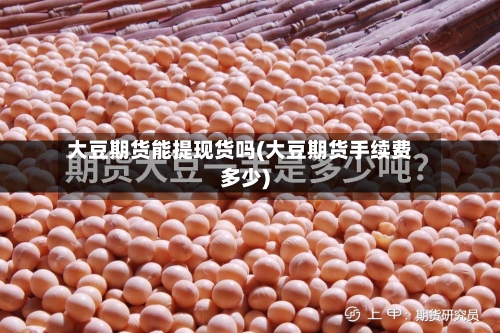 大豆期货能提现货吗(大豆期货手续费多少)