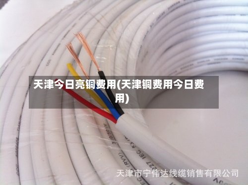 天津今日亮铜费用(天津铜费用今日费用)