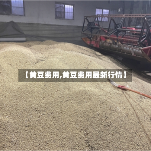 【黄豆费用,黄豆费用最新行情】-第2张图片