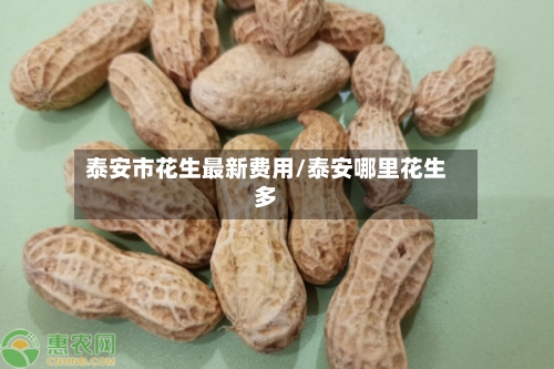 泰安市花生最新费用/泰安哪里花生多-第1张图片