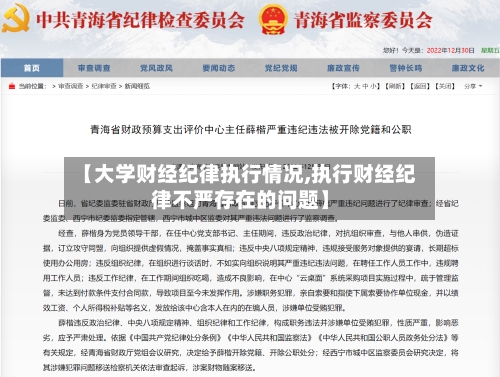 【大学财经纪律执行情况,执行财经纪律不严存在的问题】-第2张图片