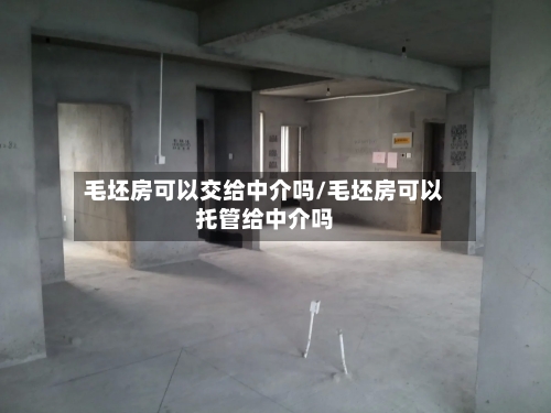 毛坯房可以交给中介吗/毛坯房可以托管给中介吗-第2张图片