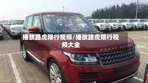 播放路虎限行视频/播放路虎限行视频大全-第1张图片