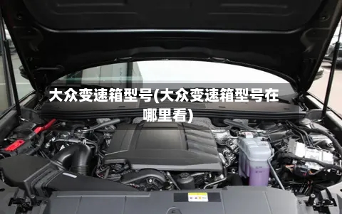 大众变速箱型号(大众变速箱型号在哪里看)-第3张图片