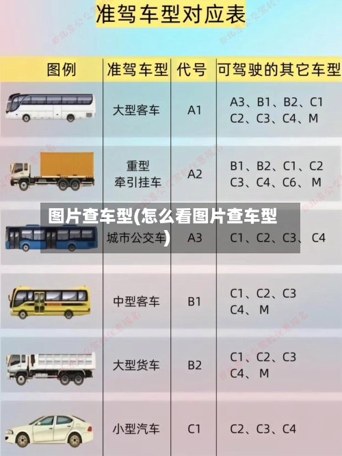 图片查车型(怎么看图片查车型)-第3张图片