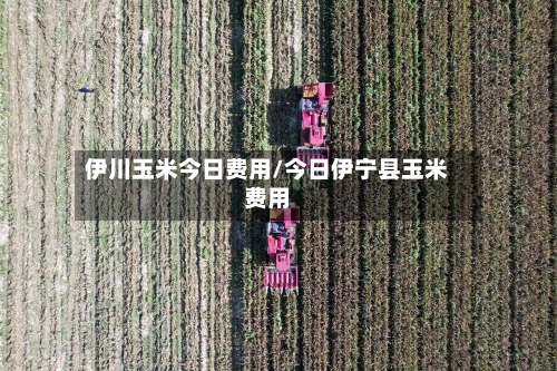 伊川玉米今日费用/今日伊宁县玉米费用-第2张图片