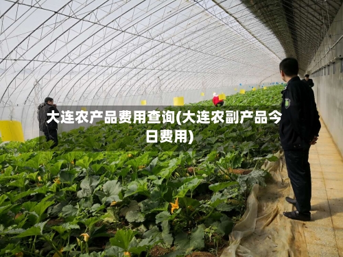 大连农产品费用查询(大连农副产品今日费用)-第3张图片