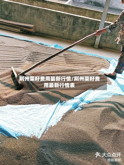 荆州菜籽费用最新行情/荆州菜籽费用最新行情表-第2张图片