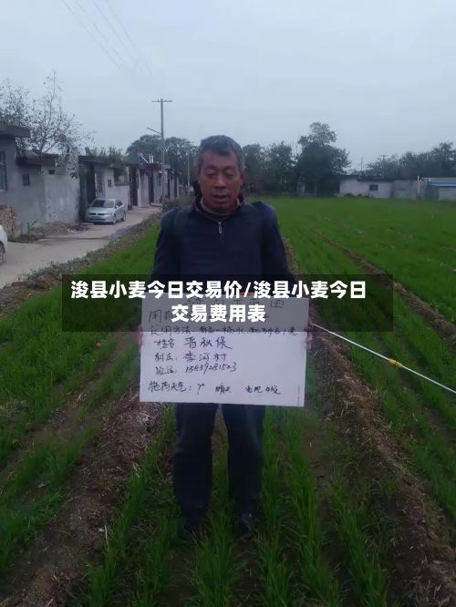 浚县小麦今日交易价/浚县小麦今日交易费用表-第2张图片