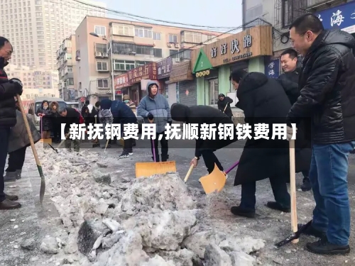 【新抚钢费用,抚顺新钢铁费用】-第2张图片