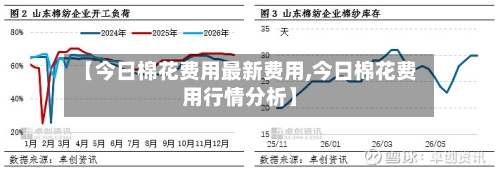 【今日棉花费用最新费用,今日棉花费用行情分析】-第2张图片