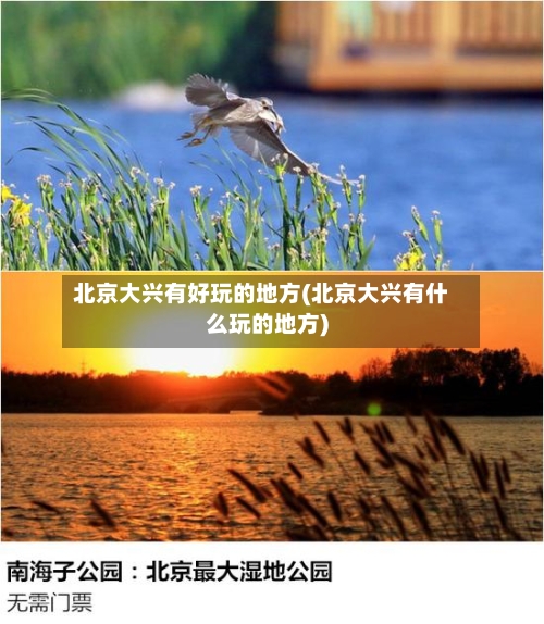 北京大兴有好玩的地方(北京大兴有什么玩的地方)-第3张图片